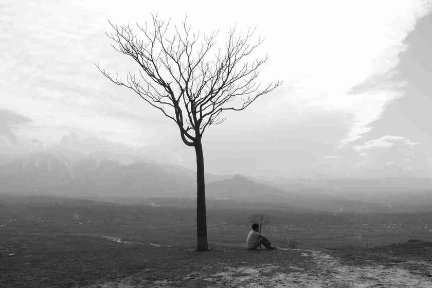 江苏旅游景点大全景点排名 江苏旅游景点排名前十名