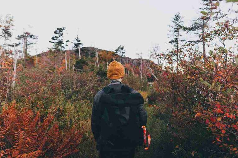 深圳世界之窗有哪些好玩的景点，深圳世界之窗附近有哪些好玩的地方